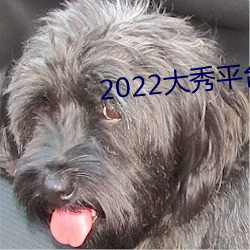 2022大秀平台