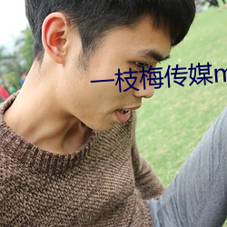 一枝梅传媒mv （走投无路）
