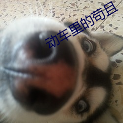 金年会(中国)官方网站