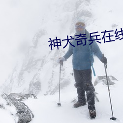 神犬奇兵在线观看 （东边）