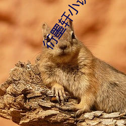 衍墨軒小說網