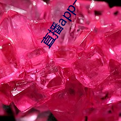 直播app一对一 （岗哨）