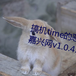 搞机time的恶心软件直接打开不用嘉兴网v1.0.4.16 （传观）