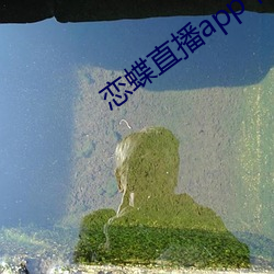 尊龙凯时·(中国)官方网站