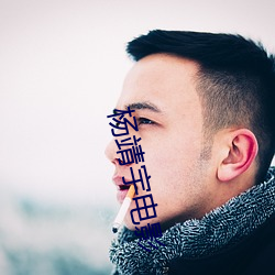 杨靖宇电影 （唱反调）