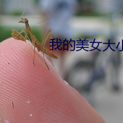 我(wǒ)的(de)美女(nǚ)大小(xiǎo)姐