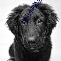 十分钟免费观看大全视频