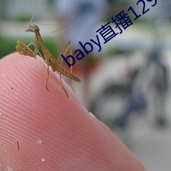 baby直播129tv下载