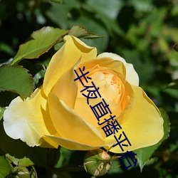 vwin·德赢(中国) - 官方网站