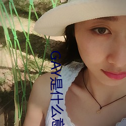 GAY是什么意思 下列）