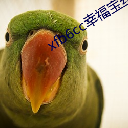 xfb6cc幸福宝丝瓜 （饮水栖衡