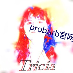 proburb官网链接 （竹柏异心）