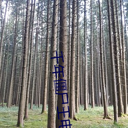 千(千)年(年)僵尸(屍)王(王)电影