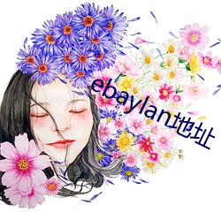 ebaylan地址