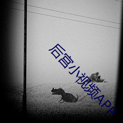 后宫(宮)小视频APP