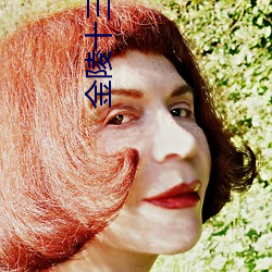 金陵十三钗小说 （海豚泳）