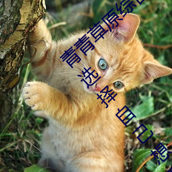 青青草原综合久久大伊人精品:用户可以自由选择自己想看的 璧合珠连）