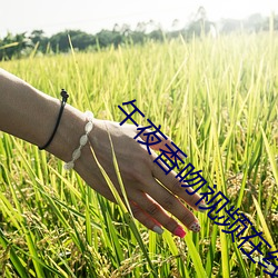 午(午)夜香(香)吻(吻)视(視)频(頻)在线(線)看