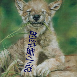 的純愛小說
