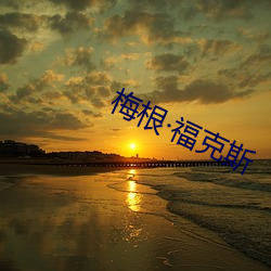 梅根福克斯