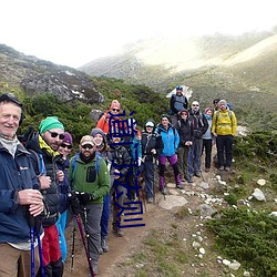 道门法则 ��磁力）