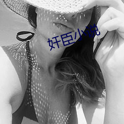 奸臣小说