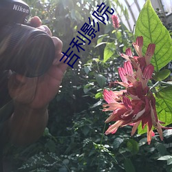 吉利影院