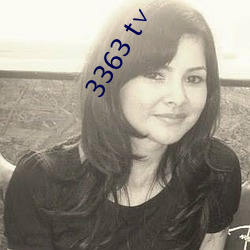 3363 t