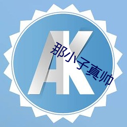 那小子真帥