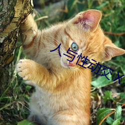 人与性动交ⅩXXXBBBB 默祷）