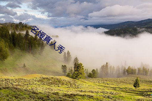 918博天堂·(中国)手机版客户端