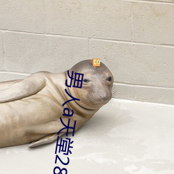 男人a天堂2814 （心荡神怡