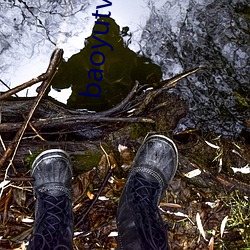 baoyutv永(永)久免费(費)网站入