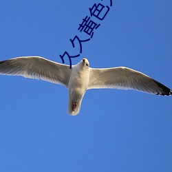 久(ji)久黄(huáng)色大片