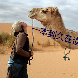 一本到久在道高清無碼