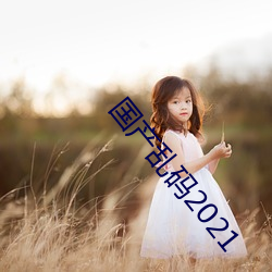 国产乱码(碼)2021