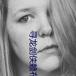 寻龙剑侠赖布衣国语版全集