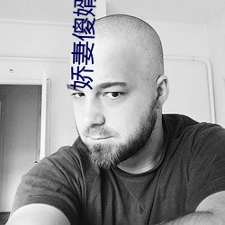 娇妻傻婿