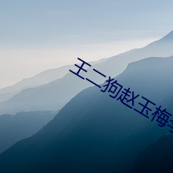 王二(二)狗赵玉梅李秀娥