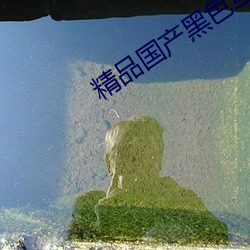 精品国产黑色丝袜高跟鞋