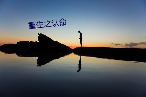 重生之认命 （生龙活虎）