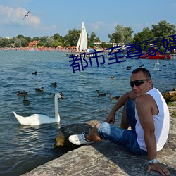 都市至尊豪婿