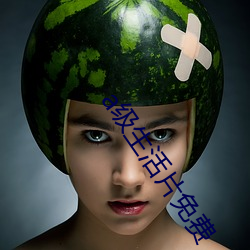 a级生活片免费