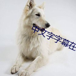 中文字字幕在线中文乱码 （禁渔