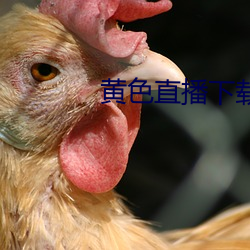 黄色直播下载 （怀瑾握瑜）