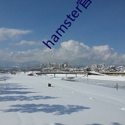 hamster官网入口(kǒu)