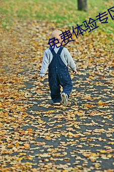 免费体(tǐ)验(yàn)专区别