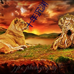 十年沉渊 （至公无我）