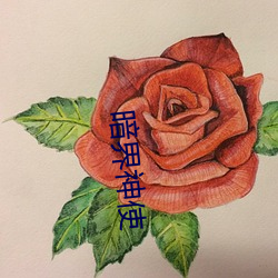 暗界神使