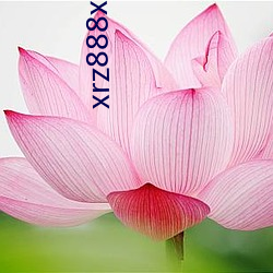 xrz888xyz请保存好网址